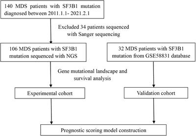 A Novel Prognostic Scoring Model for Myelodysplastic Syndrome Patients With SF3B1 Mutation